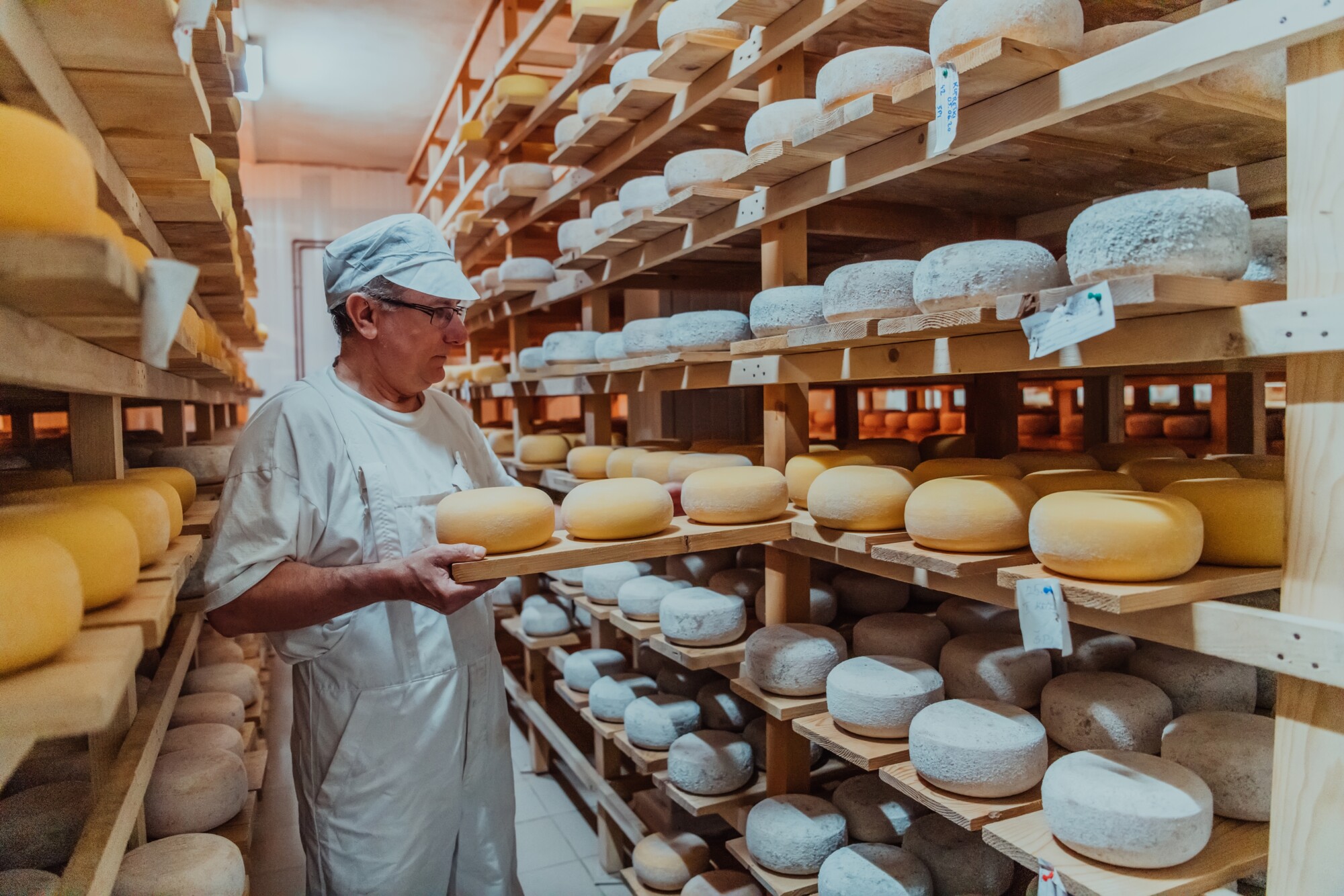cheese-production