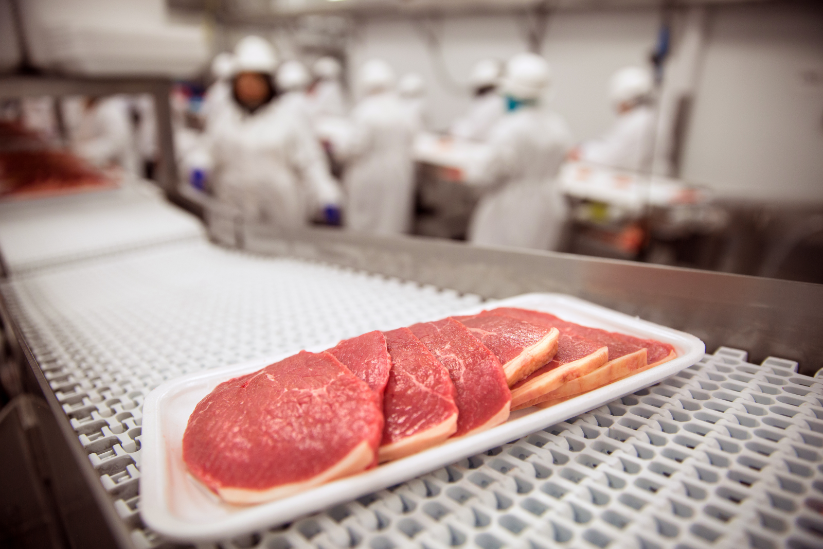 Kontamination in Lebensmittelindustrie